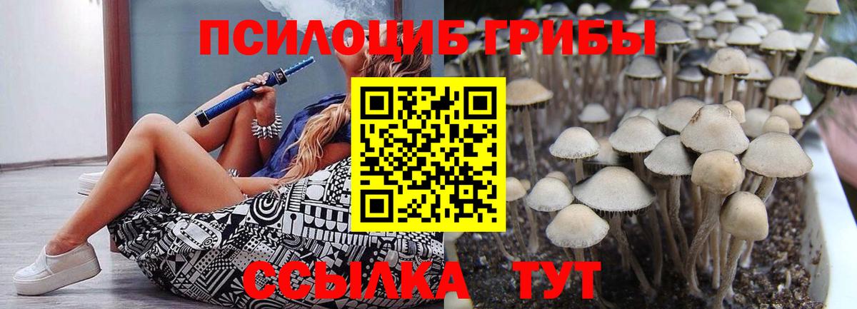 Костомукша  Галлюциногенные грибы ЛСД  Псилоцибиновые грибы Psilocybe  цены   Вход с VPN 